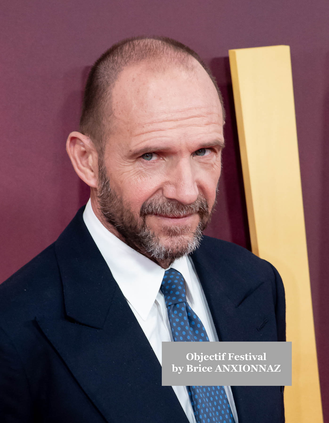 Photos of Ralph Fiennes